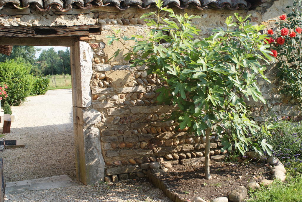 Le Moulin De Champagne Bed & Breakfast Viriat Luaran gambar
